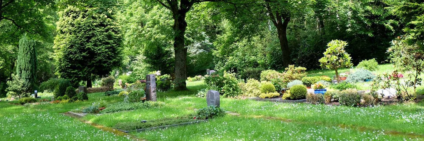 Einzelne Grabstellen innerhalb einer Wiese unter einem Baum