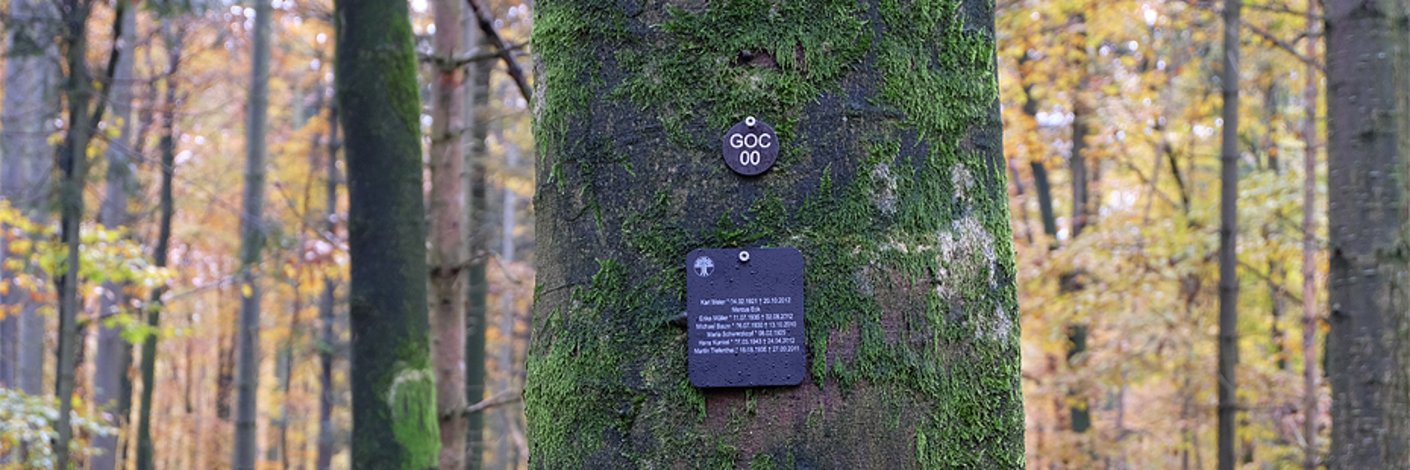 Plakette an einem Baum im Bestattungswald