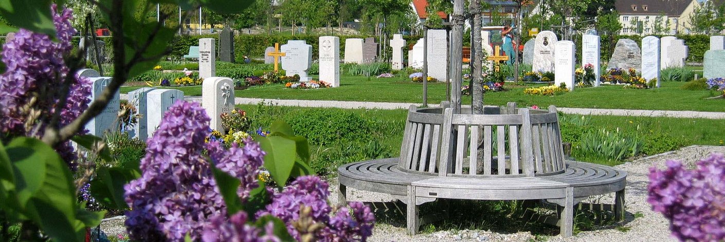 Runde Bank an einem Baum auf einem Friedhof, Grabmale im Hintergrund